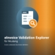 eInvoice Validation Explorer for Mustang